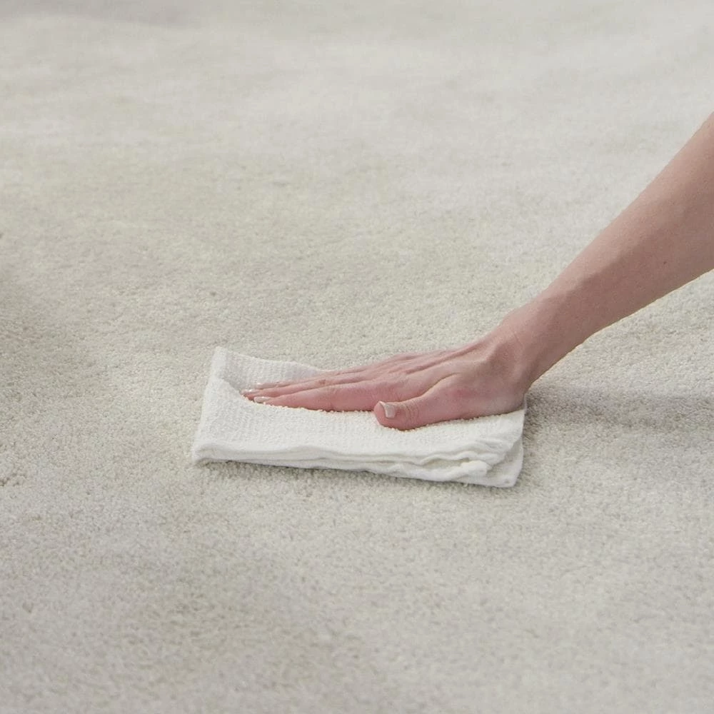 Nature's Miracle Dog Cleaning & Potty Stain Remover 6 Nature's Miracle Dog Cleaning & Potty Stain Remover - Image 4