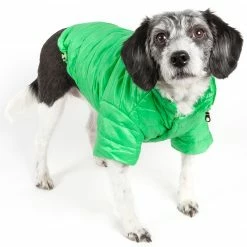 Pet Life Pet Clothing Lightweight Adjustable 'Sporty Avalanche' Pet Coat X-small (up To 11-lb)Mint Green Dog/Cat Coat -Animal & Pet Care Online Shop 12007299