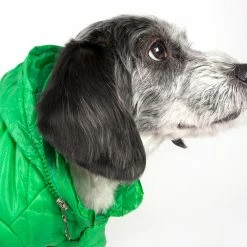 Pet Life Pet Clothing Lightweight Adjustable 'Sporty Avalanche' Pet Coat X-small (up To 11-lb)Mint Green Dog/Cat Coat -Animal & Pet Care Online Shop 12007301