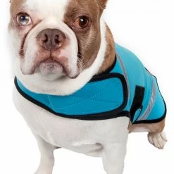 Animal & Pet Care Online Shop -Animal & Pet Care Online Shop 12007328