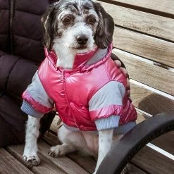 Pet Life Pet Clothing Sporty Vintage Aspen Pet Ski Jacket Small (11- 25-lb)Pink Dog/Cat Coat -Animal & Pet Care Online Shop 12009426