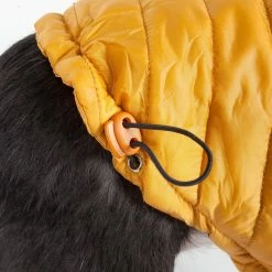 Pet Life Pet Clothing Lightweight Adjustable 'Sporty Avalanche' Pet Coat Medium (26- 40-lb) Mustard Yellow Dog/Cat Coat -Animal & Pet Care Online Shop 12009901