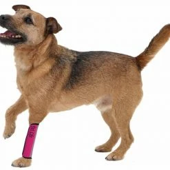 Animal & Pet Care Online Shop -Animal & Pet Care Online Shop 12254255