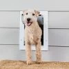 PetSafe Pet Doors Medium (26- 40-lb) White Plastic Wall Pet Door