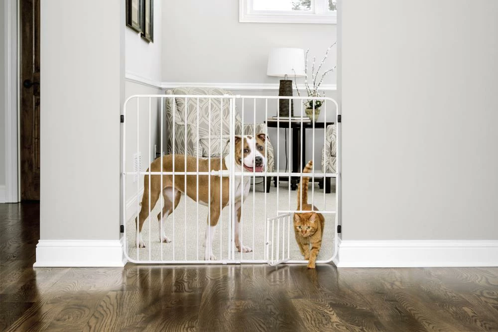 Carlson Pet Products Pet Gates Tension-Mount Expandable White Metal Pet Gate 3 Carlson Pet Products Pet Gates Tension-Mount Expandable White Metal Pet Gate