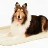 Carlson Pet Products Pet Beds Tan Polyester Rectangular 14-in x 9-in Dog Bed (For Extra Large) -Animal & Pet Care Online Shop 15368758