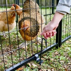 Pet Sentinel Crates & Kennels 8-ft L x 4-ft W x 6-ft H Box Kit -Animal & Pet Care Online Shop 16388699