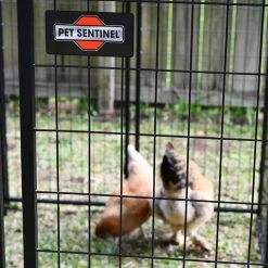 Pet Sentinel Crates & Kennels 8-ft L x 4-ft W x 6-ft H Box Kit -Animal & Pet Care Online Shop 16388703