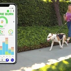 High Tech Pet Underground Pet Fences 0.33-Acre Static Underground Pet Fence -Animal & Pet Care Online Shop 16576514