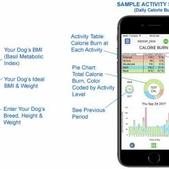 High Tech Pet Underground Pet Fences 0.33-Acre Static Underground Pet Fence -Animal & Pet Care Online Shop 16576515