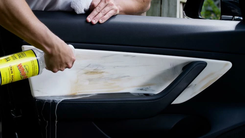 Whip-It Dog Cleaning & Potty Stain Remover 7 Whip-It Dog Cleaning & Potty Stain Remover - Image 5