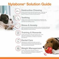 Nylabone Pet Toys Power Chew Original Flavor Dog Chew -Animal & Pet Care Online Shop 42250025