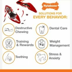 Nylabone Pet Toys Power Chew Original Flavor Dog Chew -Animal & Pet Care Online Shop 42250055