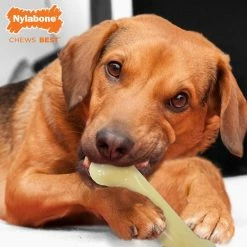 Animal & Pet Care Online Shop -Animal & Pet Care Online Shop 42250059