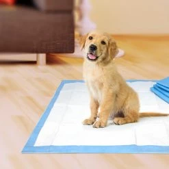 Pet Select Dog Cleaning & Potty Training Pads, Non Woven Cloth -Animal & Pet Care Online Shop 42251022 scaled