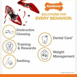 Nylabone Pet Toys Power Chew Original Large Dog Chew -Animal & Pet Care Online Shop 42251151