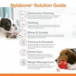 Nylabone Pet Toys Power Chew Original Large Dog Chew -Animal & Pet Care Online Shop 42251152