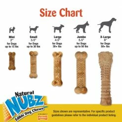 Nylabone Pet Treats Nubz Edible Dog Chews Dental Treats for Dog Chicken Flavor (6.6-oz) -Animal & Pet Care Online Shop 42260729
