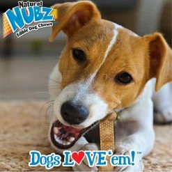 Nylabone Pet Treats Nubz Edible Dog Chews Dental Treats for Dog Chicken Flavor (6.6-oz) -Animal & Pet Care Online Shop 42260736