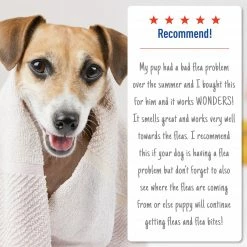 Adams Pet Healthcare & Treatments Shampoo (Any) -Animal & Pet Care Online Shop 42261315 scaled