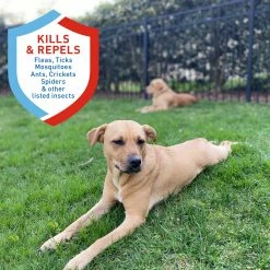 Adams Pet Grooming Tools Plus Yard Spray 32 Oz 12 Adams Pet Grooming Tools Plus Yard Spray 32 Oz -Animal & Pet Care Online Shop 42261349 scaled