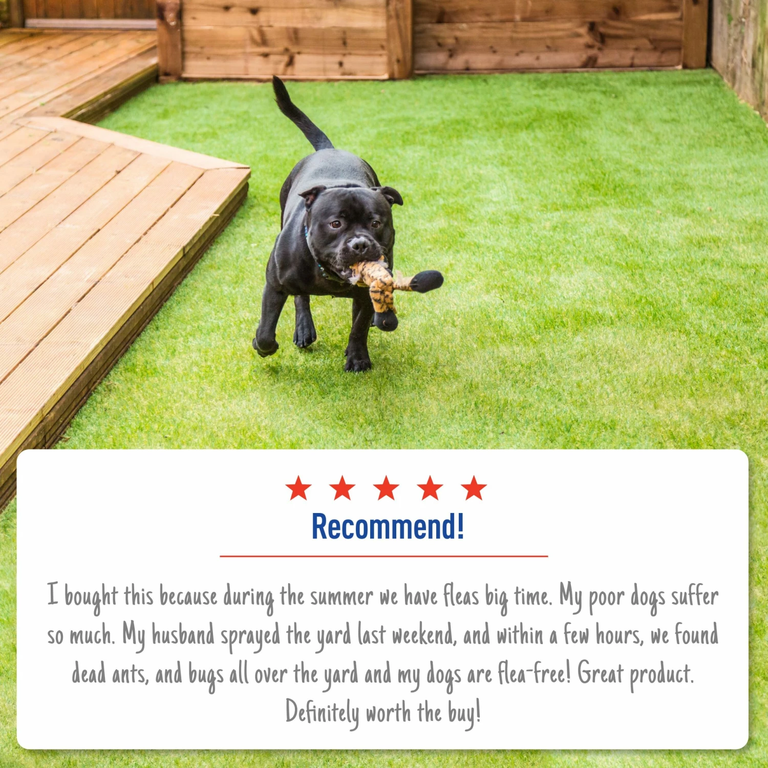 Adams Pet Grooming Tools Plus Yard Spray 32 Oz 8 Adams Pet Grooming Tools Plus Yard Spray 32 Oz - Image 6