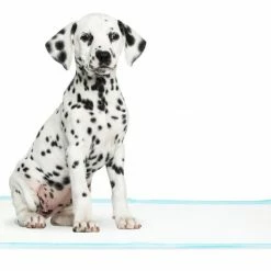 Precious Tails Dog Cleaning & Potty Training Pads, Non Woven 11 Precious Tails Dog Cleaning & Potty Training Pads, Non Woven -Animal & Pet Care Online Shop 42261641