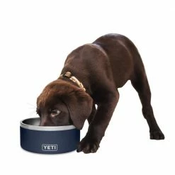 YETI Food & Water Bowls Boomer 4 Dog Bowl, Seafoam -Animal & Pet Care Online Shop 42279095