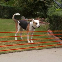 High Tech Pet Underground Pet Fences High Tech Pet Basic Electronic Fence and Containment System for Dogs, 0.4-Acre Static Underground Pet Fence -Animal & Pet Care Online Shop 42300853
