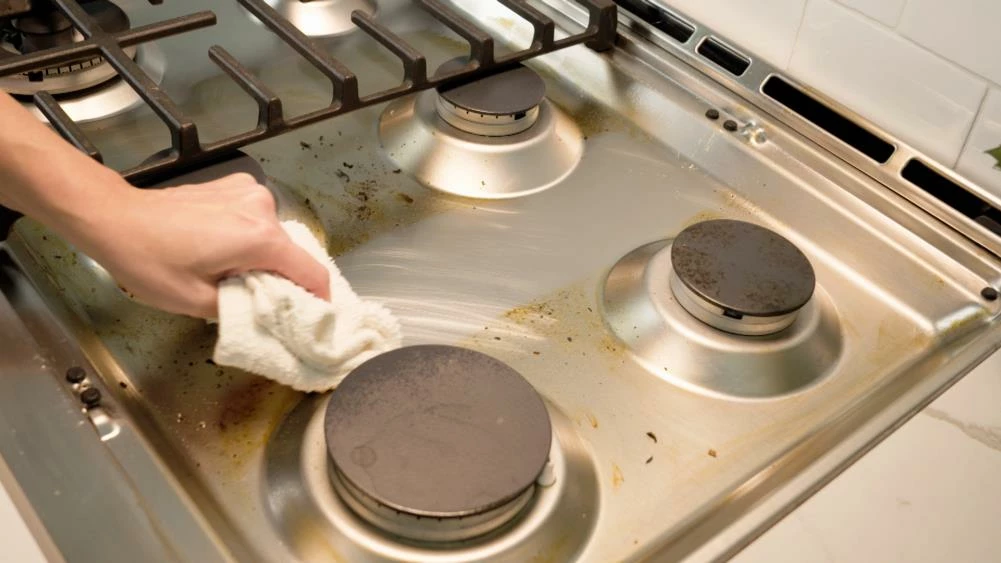 Whip-It Dog Cleaning & Potty Stain Remover 11 Whip-It Dog Cleaning & Potty Stain Remover - Image 9