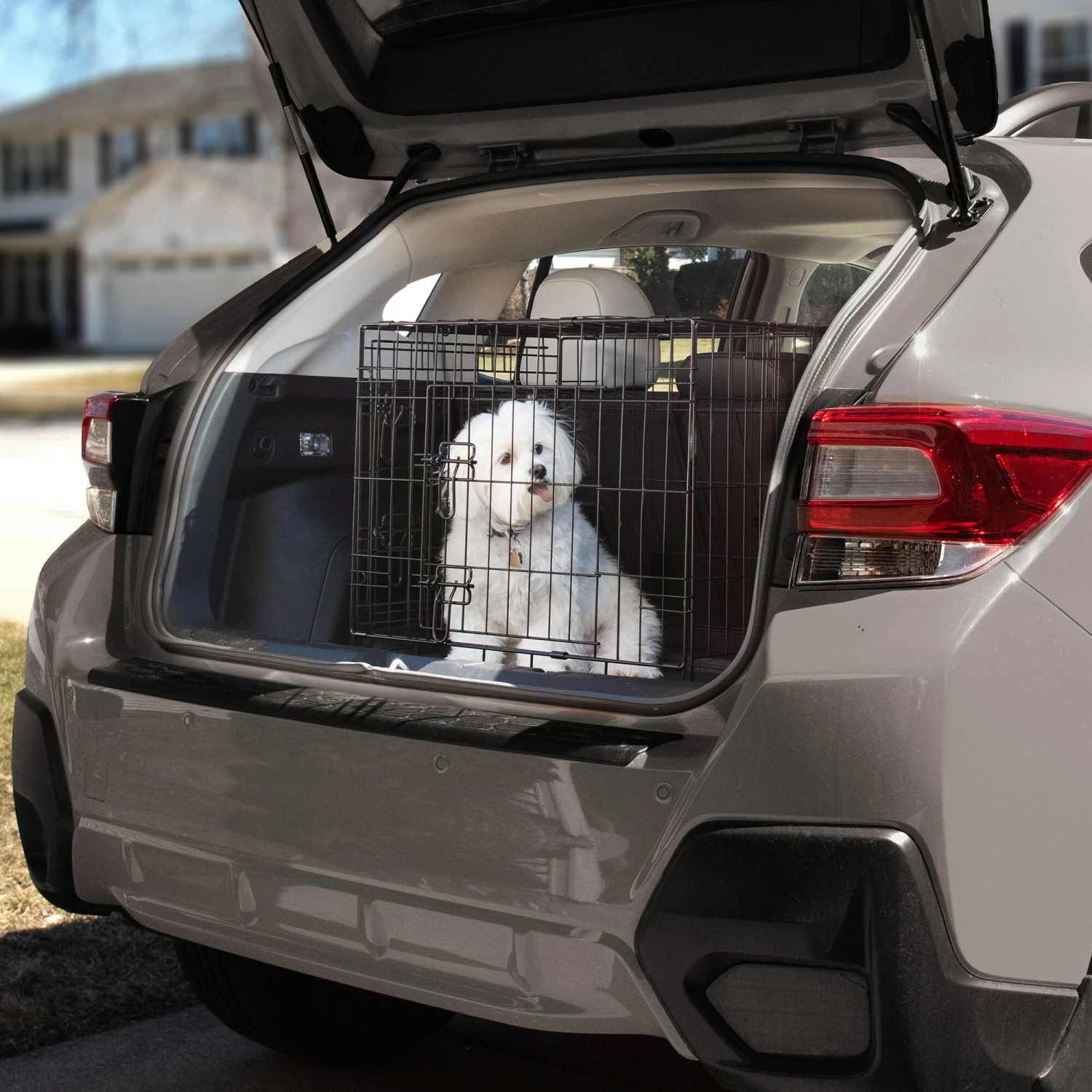 Pet Essentials Crates & Kennels 2-ft L x 1.5-ft W x 1.6-ft H Dog/Cat Crate 6 Pet Essentials Crates & Kennels 2-ft L x 1.5-ft W x 1.6-ft H Dog/Cat Crate - Image 4