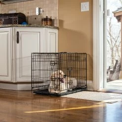 Pet Essentials Crates & Kennels 3-ft L x 2-ft W x 2.2-ft H Dog Crate -Animal & Pet Care Online Shop 43146863