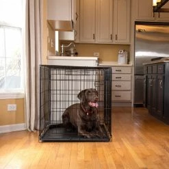 Pet Essentials Crates & Kennels 3.5-ft L x 3.36-ft W x 2.5-ft H Dog Crate -Animal & Pet Care Online Shop 43200212