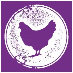 Dingo Pet Treats Rawhide Mini Chip Mix Rawhide Chews for Dog Chicken Flavor 11 Dingo Pet Treats Rawhide Mini Chip Mix Rawhide Chews for Dog Chicken Flavor -Animal & Pet Care Online Shop 44153633 scaled