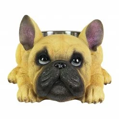 Exhart Food & Water Bowls French Bulldog, 12 by 6 Inches Tan Bulldog Bowl, Yellow -Animal & Pet Care Online Shop 44241769