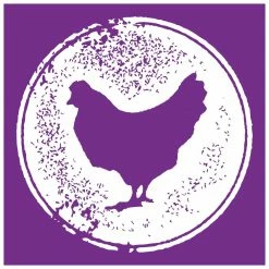 Dingo Pet Treats Dingo Rawhide Mini Bones Rawhide Chews for Dog Chicken Flavor -Animal & Pet Care Online Shop 44298395