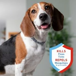 Adams Pet Healthcare & Treatments Collar 17 Adams Pet Healthcare & Treatments Collar -Animal & Pet Care Online Shop 44362428 scaled