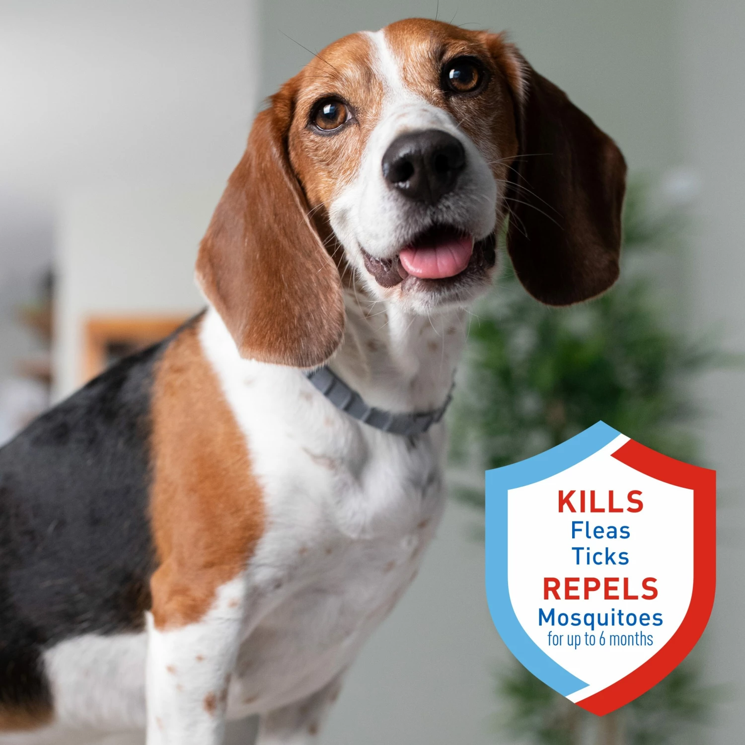 Adams Pet Healthcare & Treatments Collar 7 Adams Pet Healthcare & Treatments Collar - Image 5