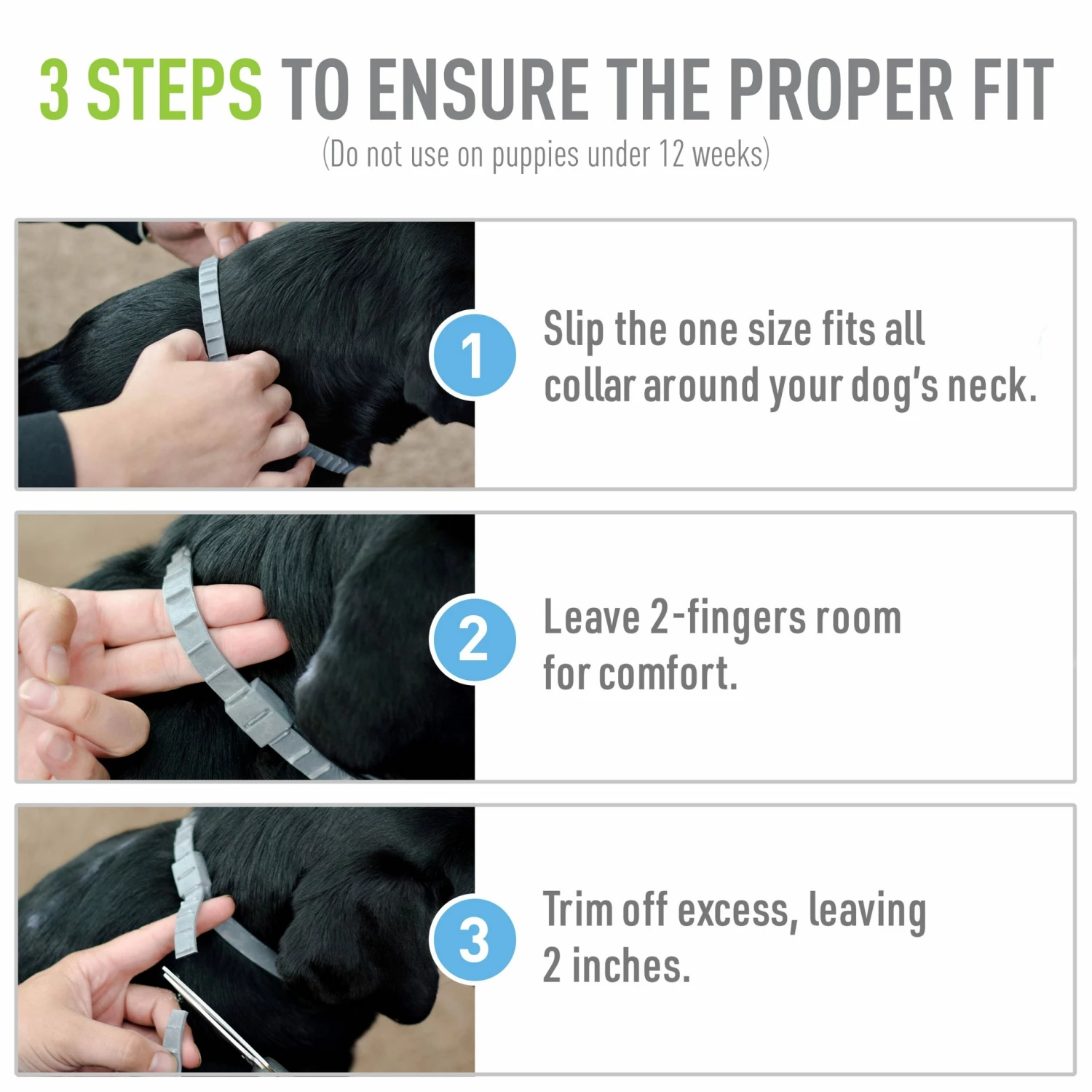 Adams Pet Healthcare & Treatments Collar 9 Adams Pet Healthcare & Treatments Collar - Image 7