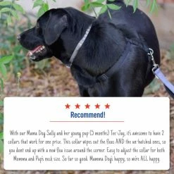 Adams Pet Healthcare & Treatments Collar 22 Adams Pet Healthcare & Treatments Collar -Animal & Pet Care Online Shop 44362432