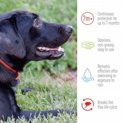 Adams Pet Healthcare & Treatments Plus Collar (Small) -Animal & Pet Care Online Shop 44428891 scaled