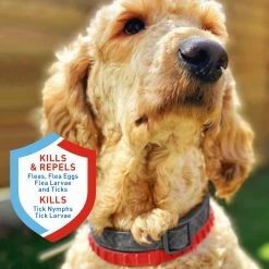 Adams Pet Healthcare & Treatments Plus Collar (Small) -Animal & Pet Care Online Shop 44428912 scaled