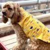 Free Country Pet Clothing X2O WATERPROOF STRETCH DOGGY RAIN JACKET BUTTERCUP COMBO S -Animal & Pet Care Online Shop 45009182 scaled