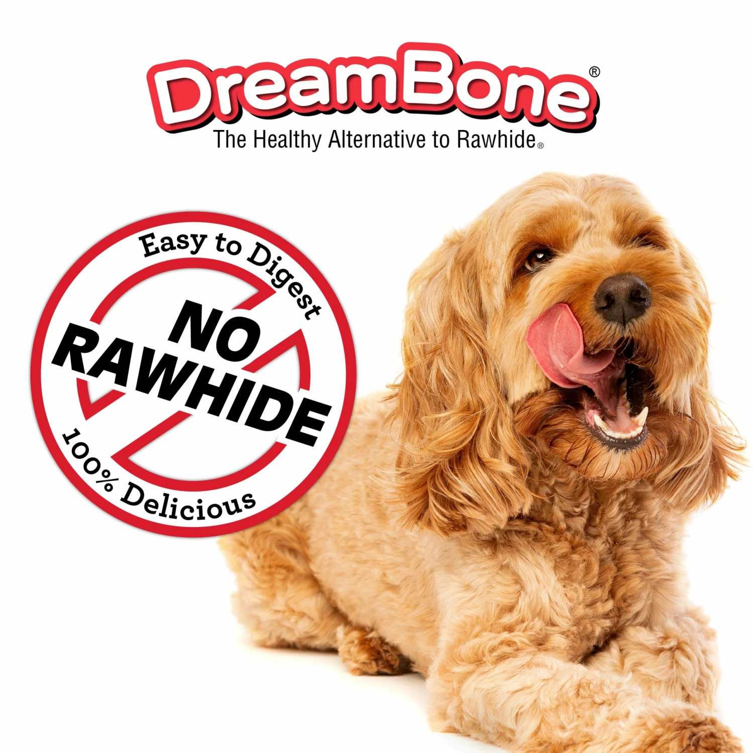DreamBone Pet Treats Twist Sticks with Real Chicken No-rawhide Chews for Dog Chicken Flavor 10 DreamBone Pet Treats Twist Sticks with Real Chicken No-rawhide Chews for Dog Chicken Flavor - Image 8