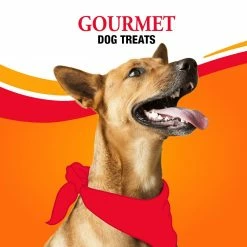 Good 'n' Fun Pet Treats Chicken Flavored Dumbbells Rawhide Chews for Dog Chicken Flavor -Animal & Pet Care Online Shop 45377943