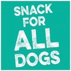 Dingo Pet Treats Dental Small Spiral Chews for Dogs Dental Treats for Dog Natural Flavor (19-Count) 14 Dingo Pet Treats Dental Small Spiral Chews for Dogs Dental Treats for Dog Natural Flavor (19-Count) -Animal & Pet Care Online Shop 45379259 scaled