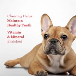 DreamBone Pet Treats Mini Chews with Real Chicken No-rawhide Chews for Dog Chicken Flavor -Animal & Pet Care Online Shop 45379541 scaled