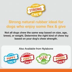 Nylabone Pet Toys Strong Chew Stuffable Cone Dog Interactive -Animal & Pet Care Online Shop 46326943 scaled