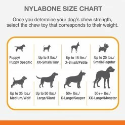 Nylabone Pet Toys Strong Chew Stuffable Cone Dog Interactive -Animal & Pet Care Online Shop 46326956 scaled