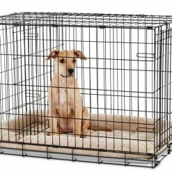 You & Me Crates & Kennels 36-ft L x 22.5-ft W x 24.9-ft H Dog Crate 12 You & Me Crates & Kennels 36-ft L x 22.5-ft W x 24.9-ft H Dog Crate -Animal & Pet Care Online Shop 46428434